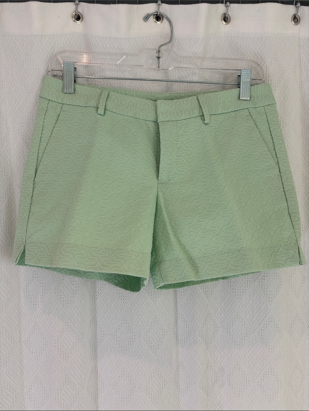 Banana Republic Mint Green Jacquard Shorts